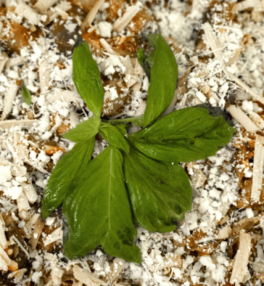 immagine-home-pasticceria-dolci-sapori-(6)